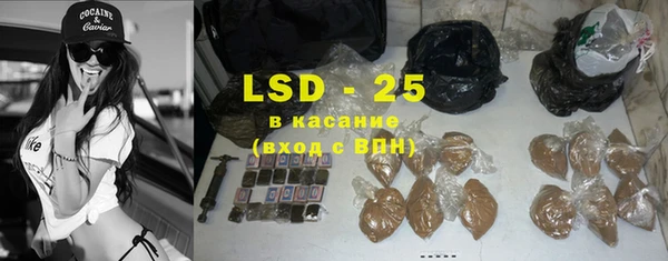 прущие грибы Корсаков