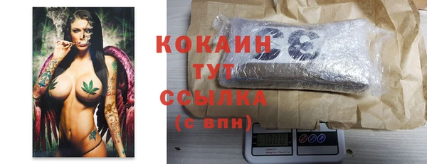 прущие грибы Корсаков
