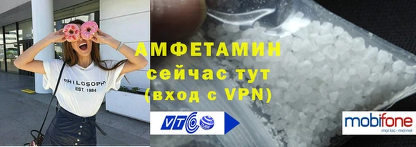 крисы Коряжма