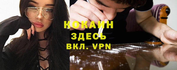 прущие грибы Корсаков