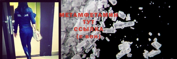 прущие грибы Корсаков