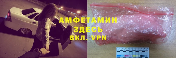 крисы Коряжма