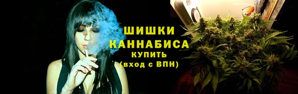 прущие грибы Корсаков