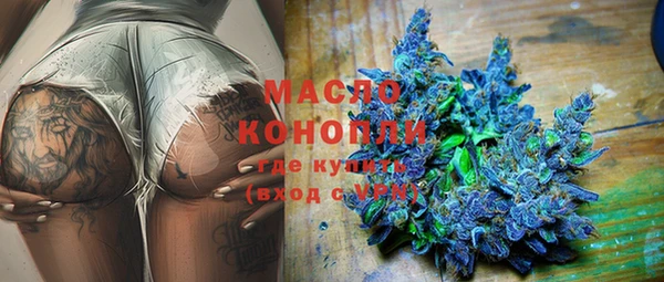 крисы Коряжма
