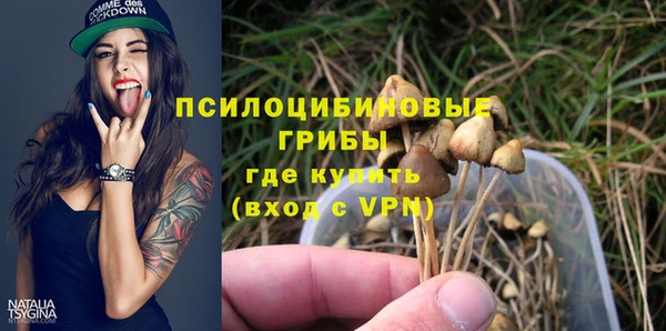 прущие грибы Корсаков