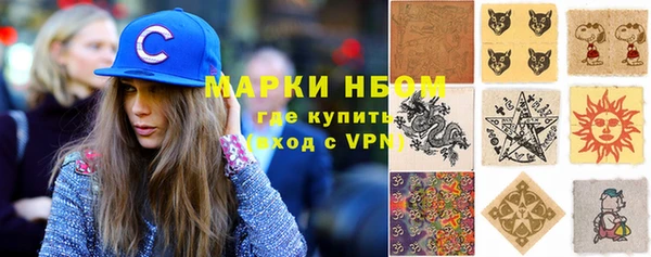 прущие грибы Корсаков