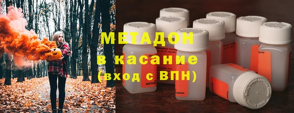 прущие грибы Корсаков