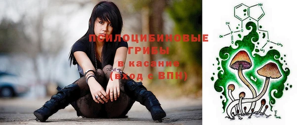крисы Коряжма