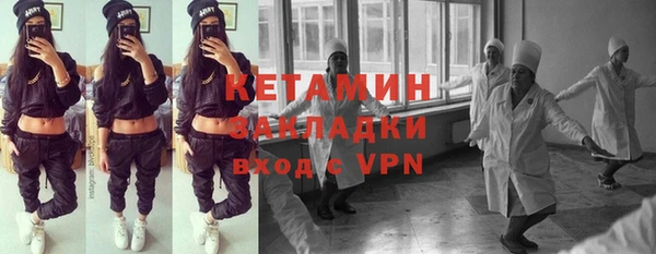 прущие грибы Корсаков