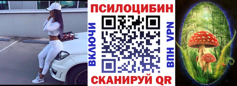 Псилоцибиновые грибы ЛСД  kraken вход  Среднеуральск 