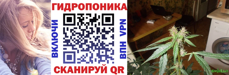 Бошки марихуана SATIVA & INDICA  Среднеуральск 